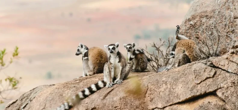 merveilles de Madagascar - TIAKO MADA VOYAGE