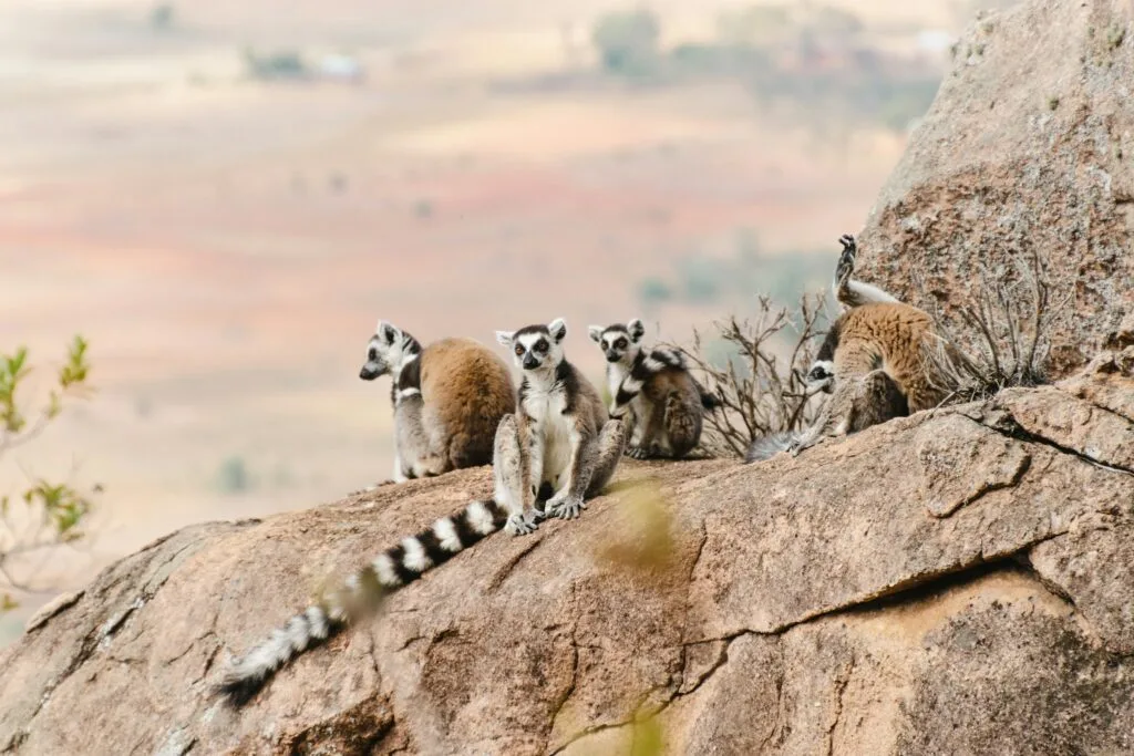 merveilles de Madagascar - TIAKO MADA VOYAGE